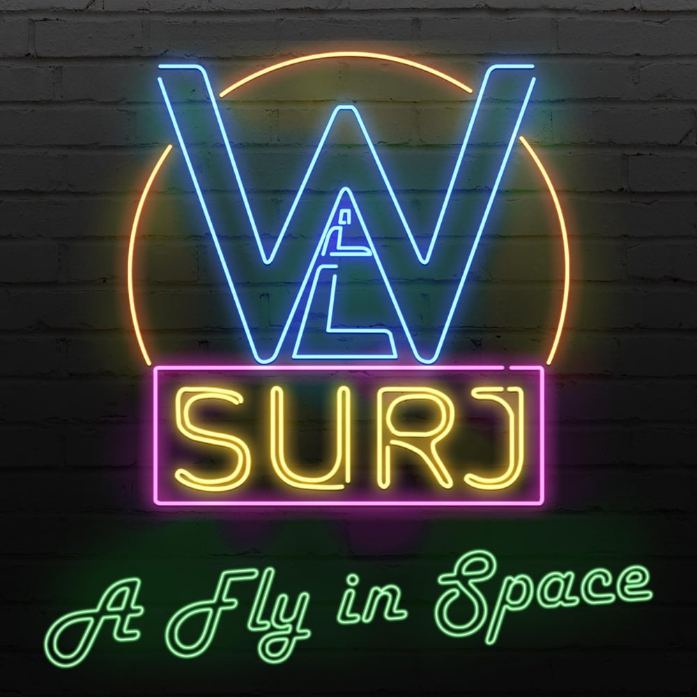 A Fly in Space