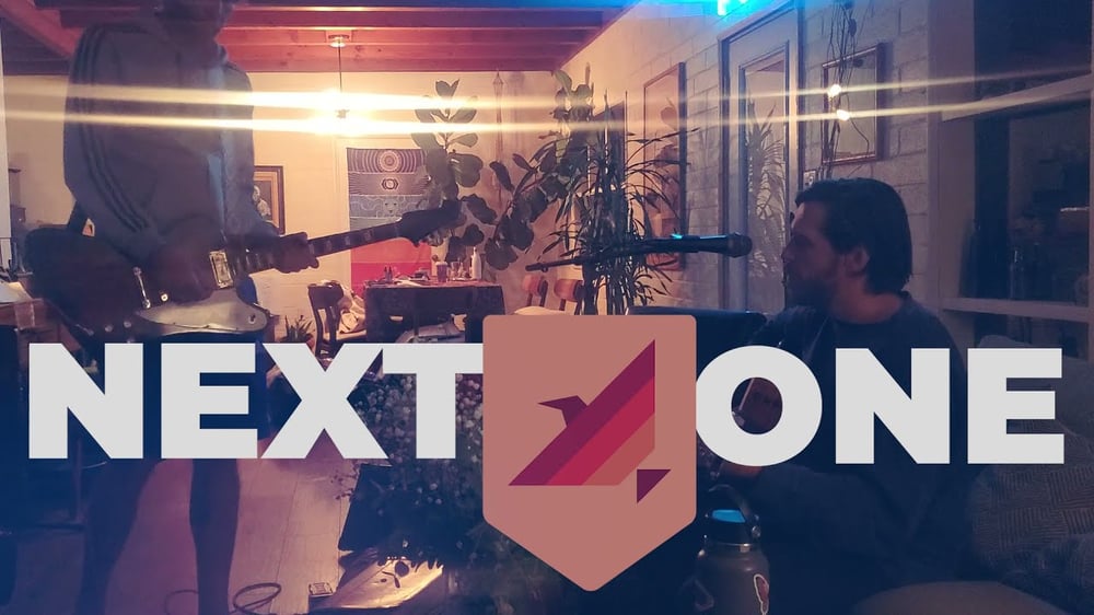 birdshield  - next one (live)