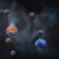 Forever Could Never Be - Digital