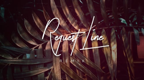 Request Line - Zhané (Shiny Kid Joe. Remix)