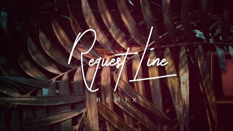 Request Line - Zhané (Shiny Kid Joe. Remix)