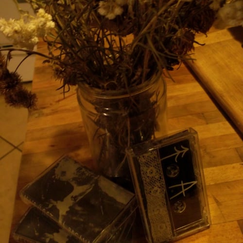 All's Lost - cassette