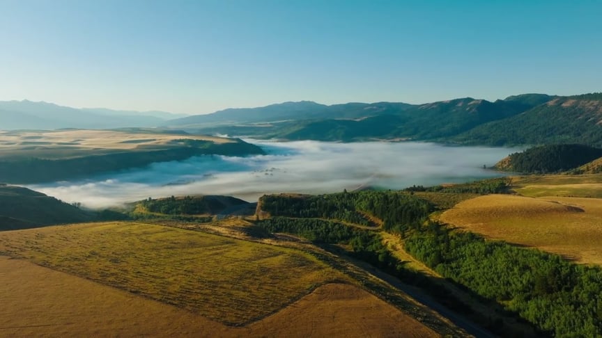 Dear Gravity & Music Within • Aspen (Official Video)