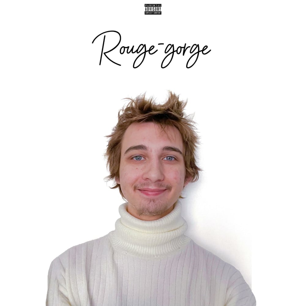 Rouge-gorge