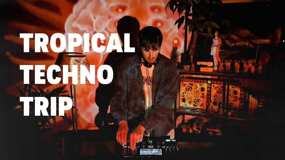 Tropical Techno Grooves | Mushroom Dance Music | With Oreku