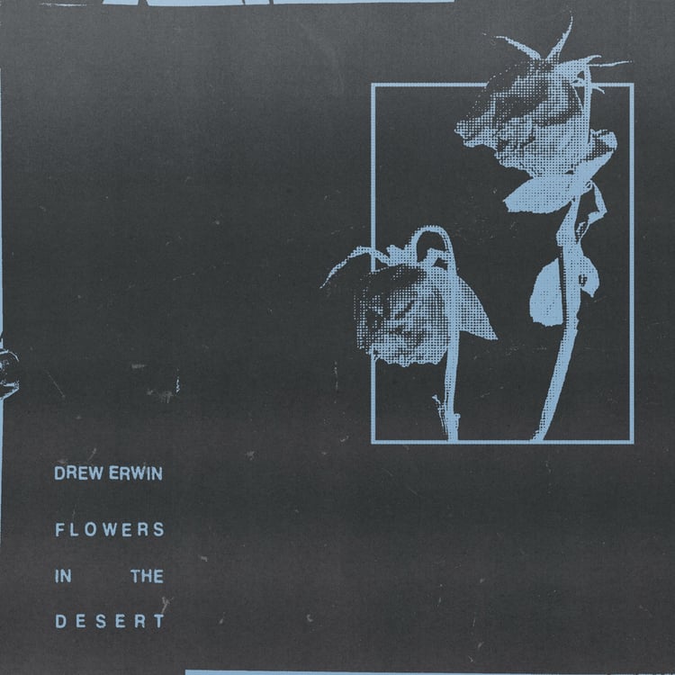 Flowers in the Desert image