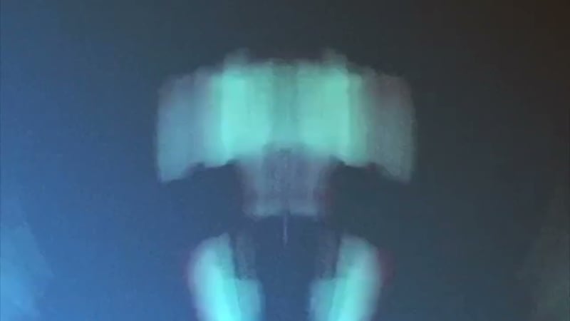 The Fierce & The Dead - What A Time To Be Alive (visualiser video)