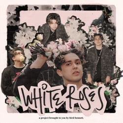 White Roses