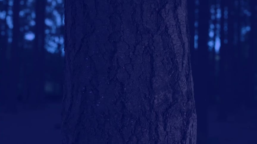 Dear Gravity • Remnant (Official Video)