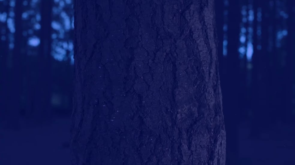 Dear Gravity • Remnant (Official Video)