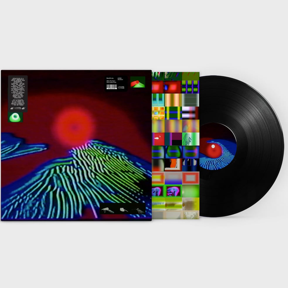 After The Town Was Swept Away - BLACK VINYL