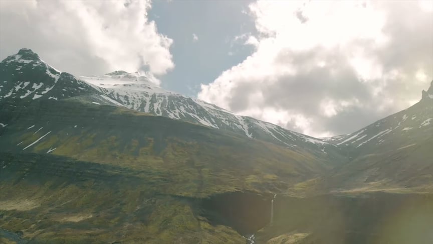 Dear Gravity & Domy Castellano • Untamed (Official Video)