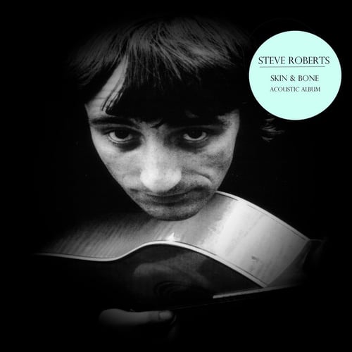 Skin & Bone Acoustic Album