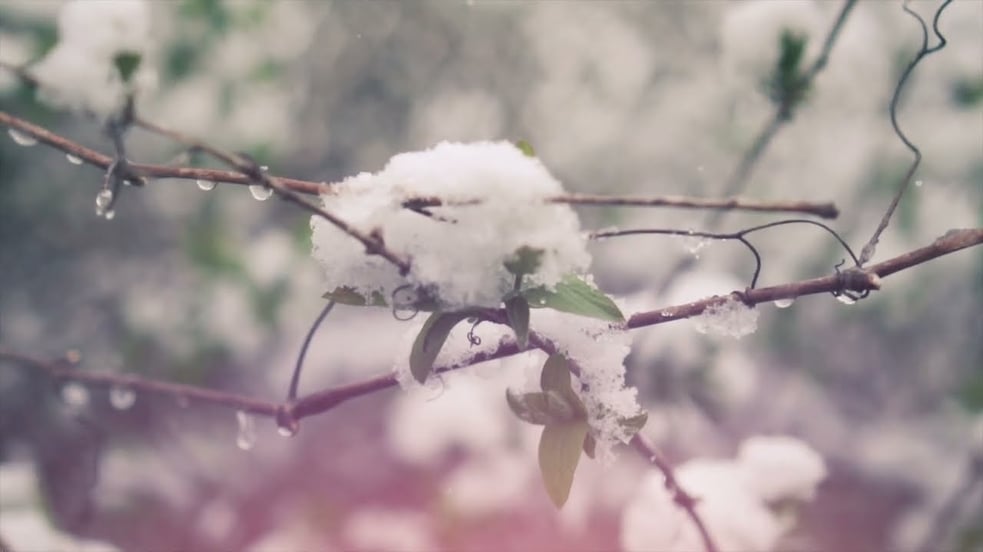 Dear Gravity ●● december – reimagined (Official Video)
