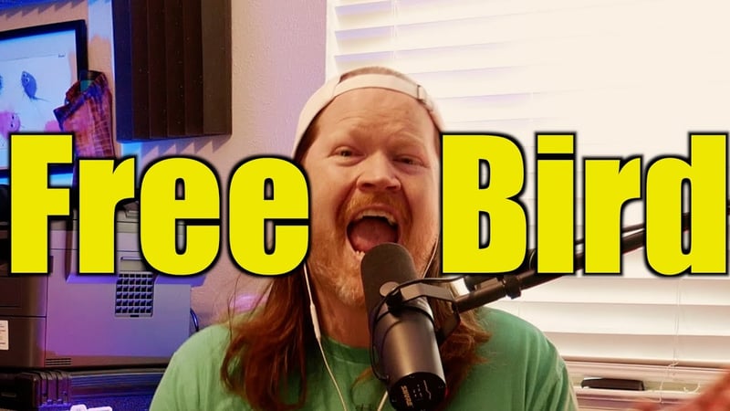 Free Bird - Lynyrd Skynyrd (Toy Jam Cover by Faith in Foxholes)