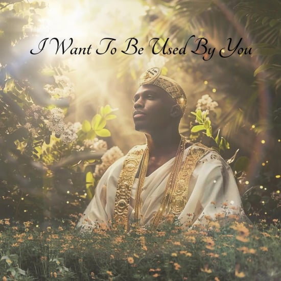 I Want To Be Used By You