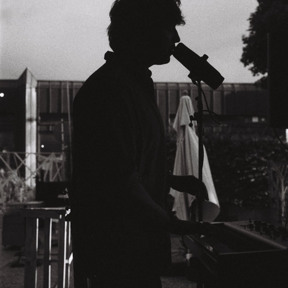 Tiemo Hauer