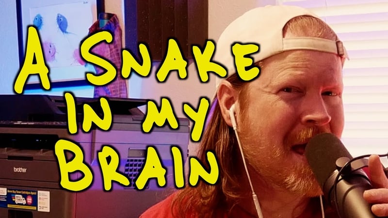 A Snake in My Brain - Faith in Foxholes (Toy Jam Cover)