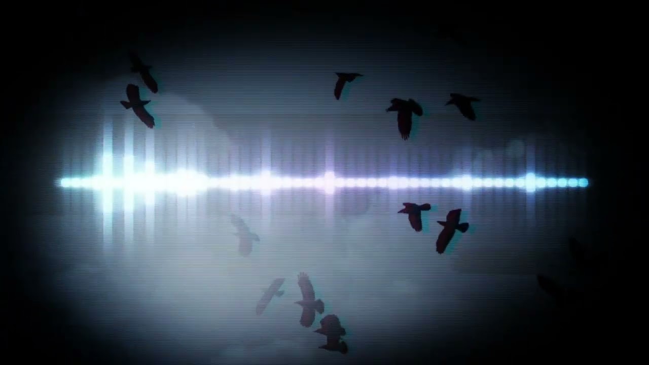 Garden Variety promo 2024