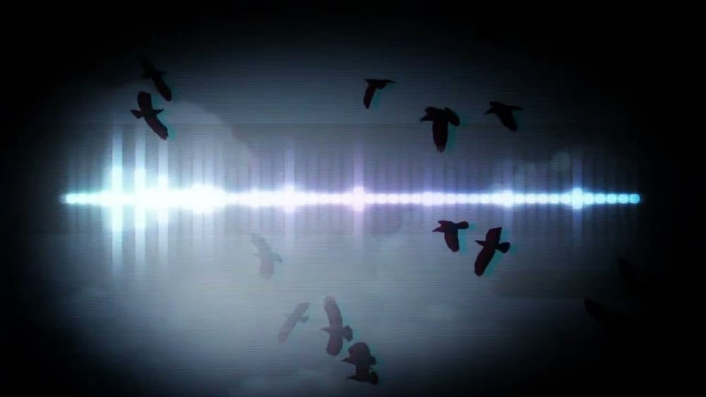 Garden Variety promo 2024