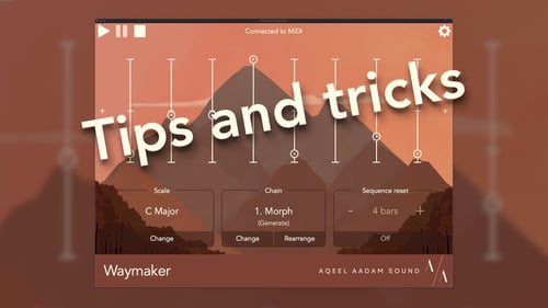 Tips and Tricks: Dual Waymaker usage