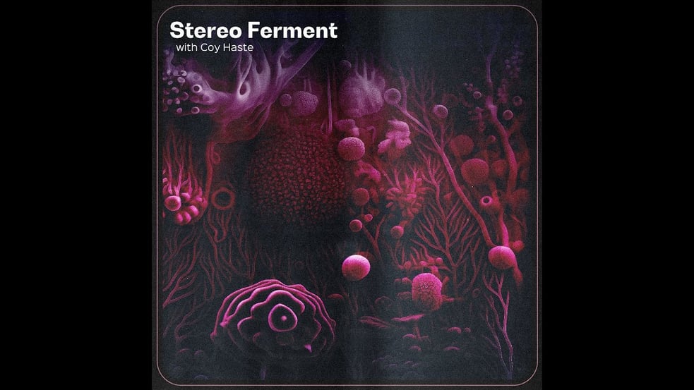STEREO FERMENT #48: Dub, Beats, Afro-Brazil, Psych