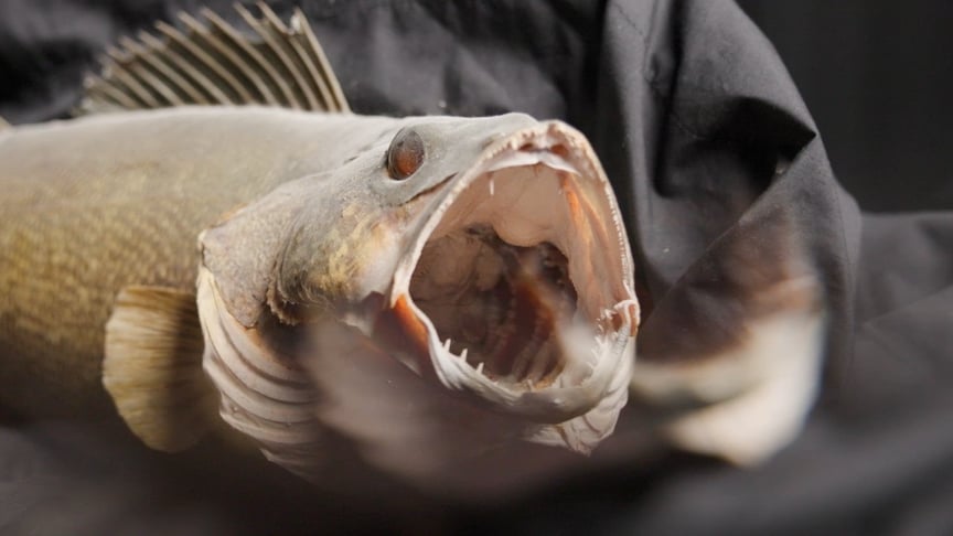 Marottes - Leviathan (New Synthpop Darkwave Music 2026)