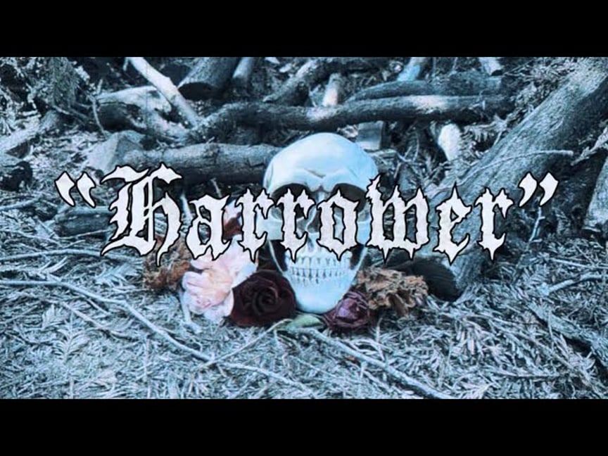 Seaside Massacre- Harrower (OFFICIAL VISUALIZER)
