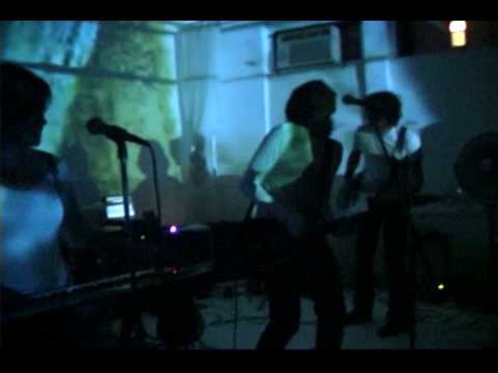 Dead Leaf Echo-Reflex Motion-Live@Aloft