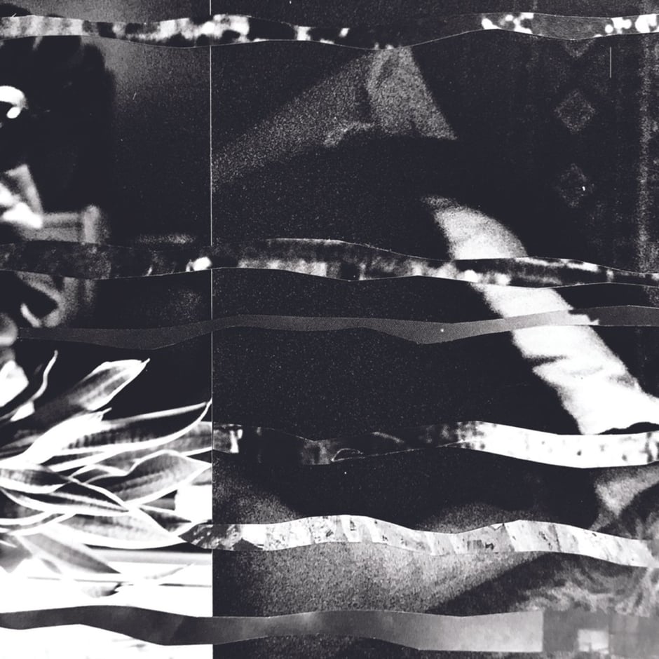 Sympathy Pain / Brianna Kelly Split