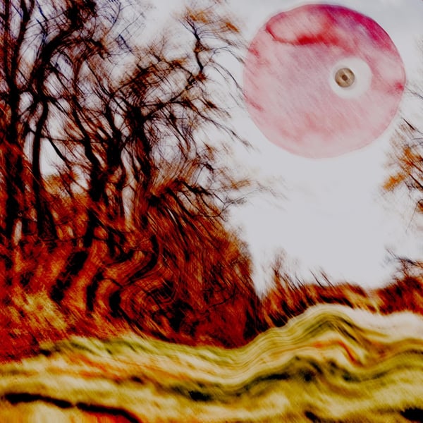 Call of the Whale image