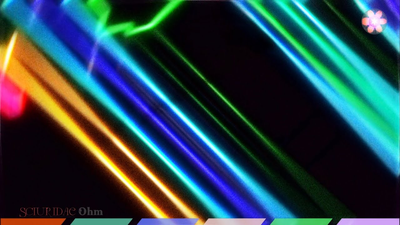 Sciuridae  - Ohm (Official Visualiser)