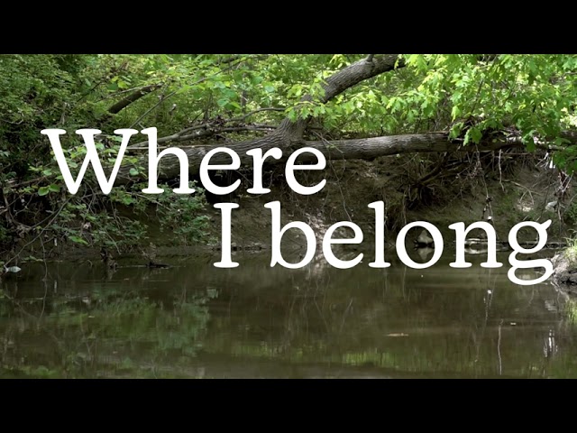 Where I Belong Lyric Video