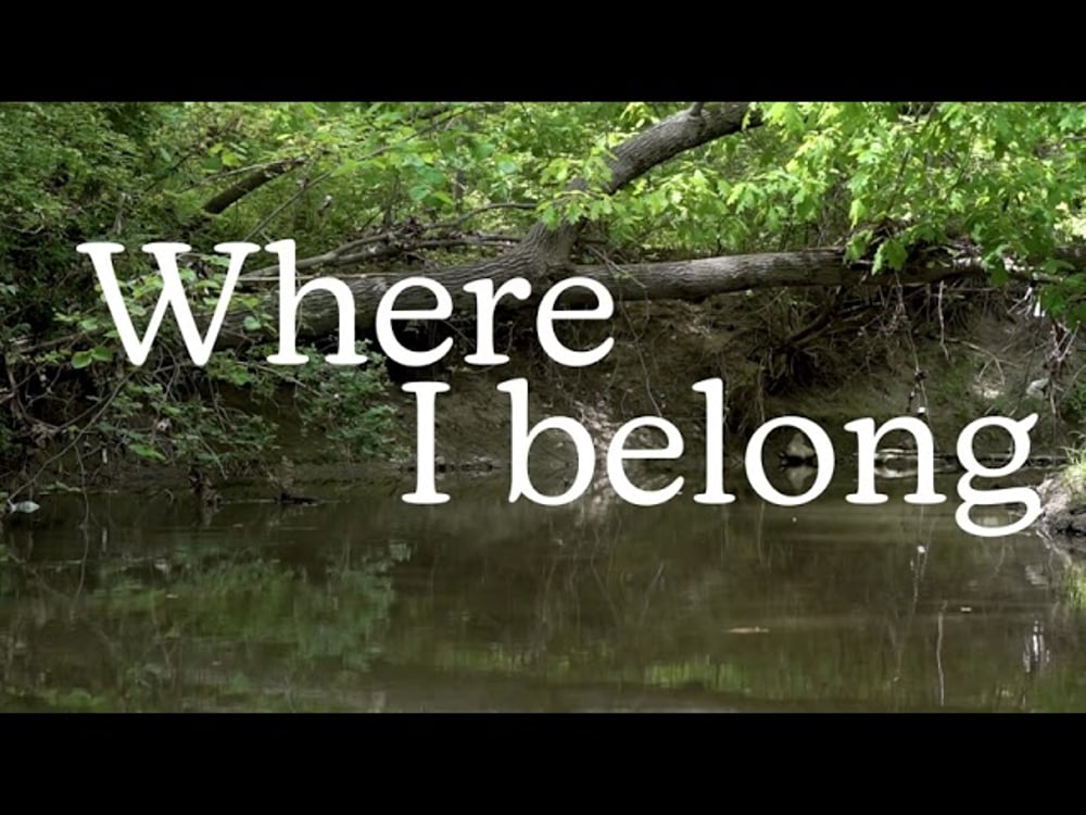 Where I Belong Lyric Video