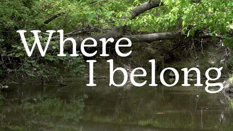 Where I Belong Lyric Video