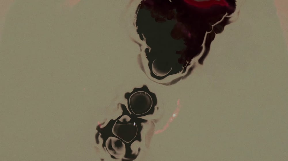 Spotlights "Mountains Are Forever" (Official Video)