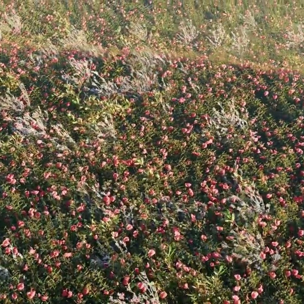 i was always here, were you?