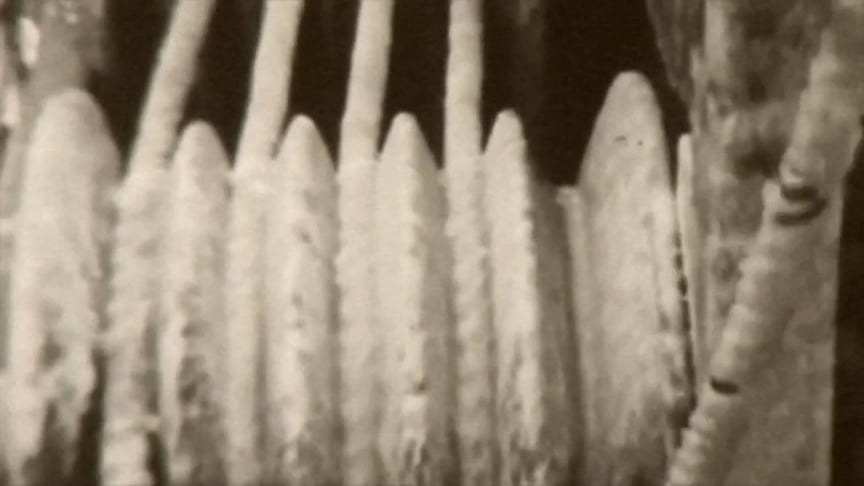 Sam Brookes - Frequency