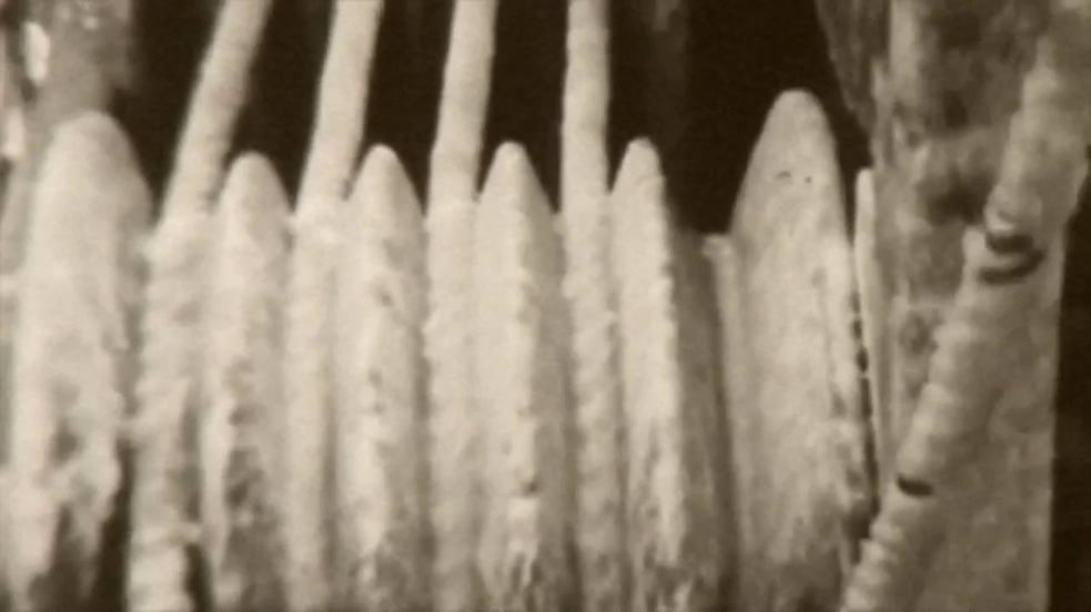 Sam Brookes - Frequency