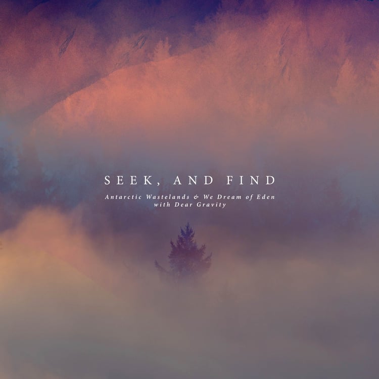 Seek, And Find image