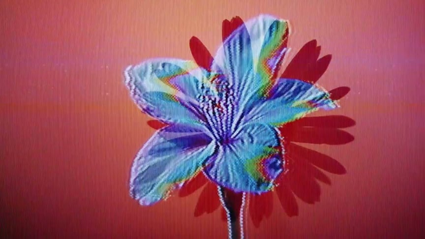 Dear Gravity & Six Missing • Hover (Official Video)