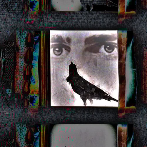 DICKIE MOLTISANTI MUSIK