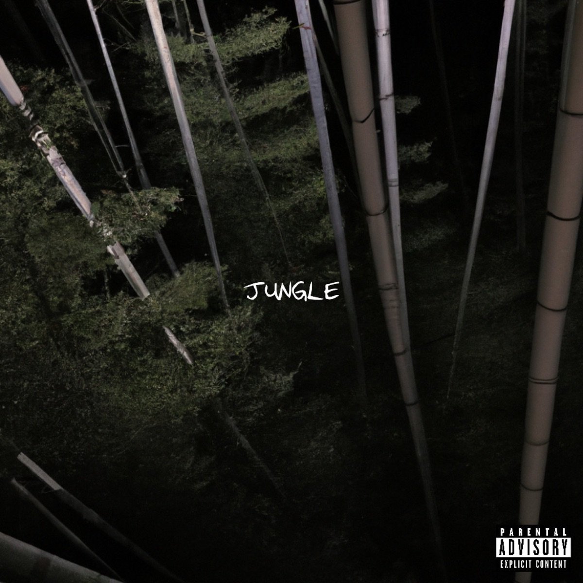 Jungle