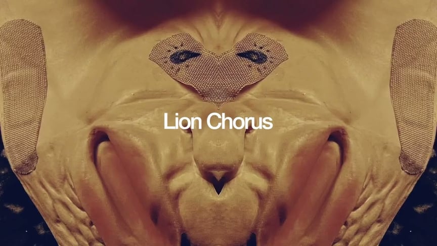 Prefuse 73 - Lion Chorus (Official Visualiser)