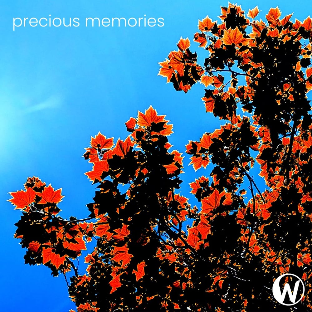 Precious Memories