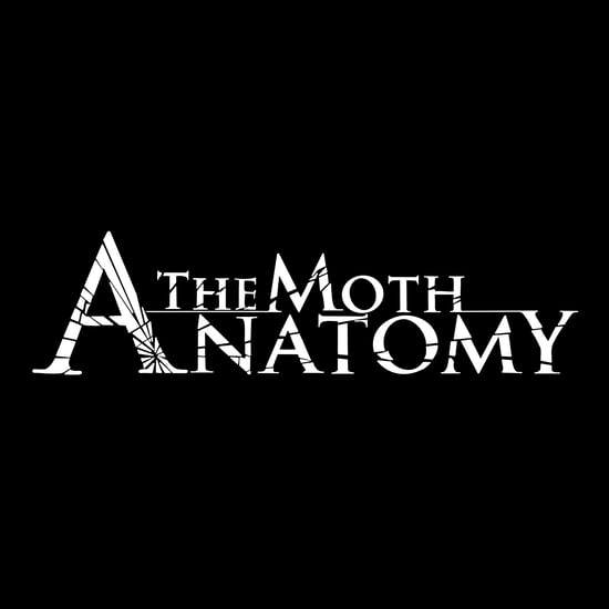 The Moth Anatomy
