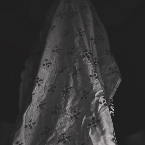 SOFT CEREMONY