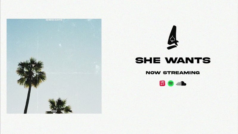 AJ.XO ~ she wants (Official Audio)