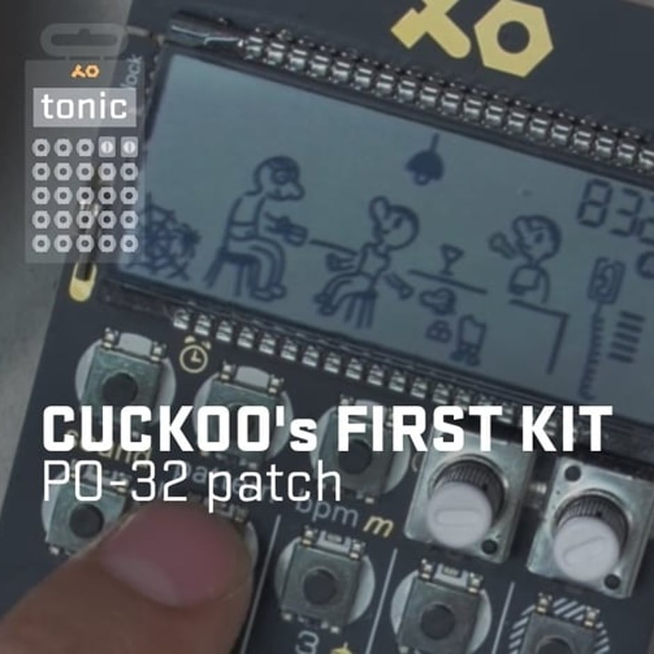 Cuckoo's First PO-32 Kit