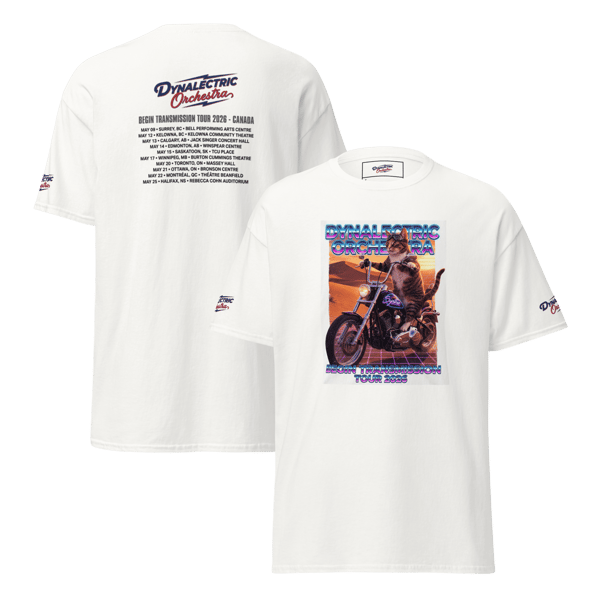 Dynalectric Orchestra Synthie image